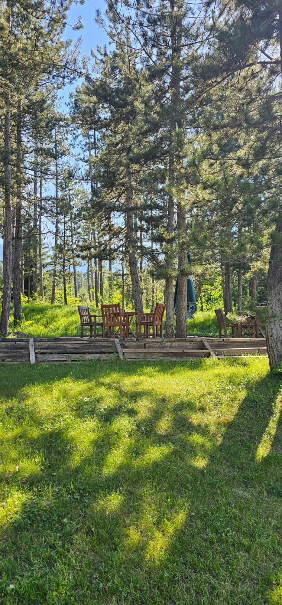 Green Peaks Suite In Pirin Golf & County Club Razlog Room photo