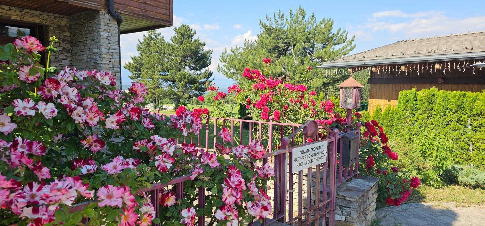 Green Peaks Suite In Pirin Golf & County Club Razlog Exterior photo