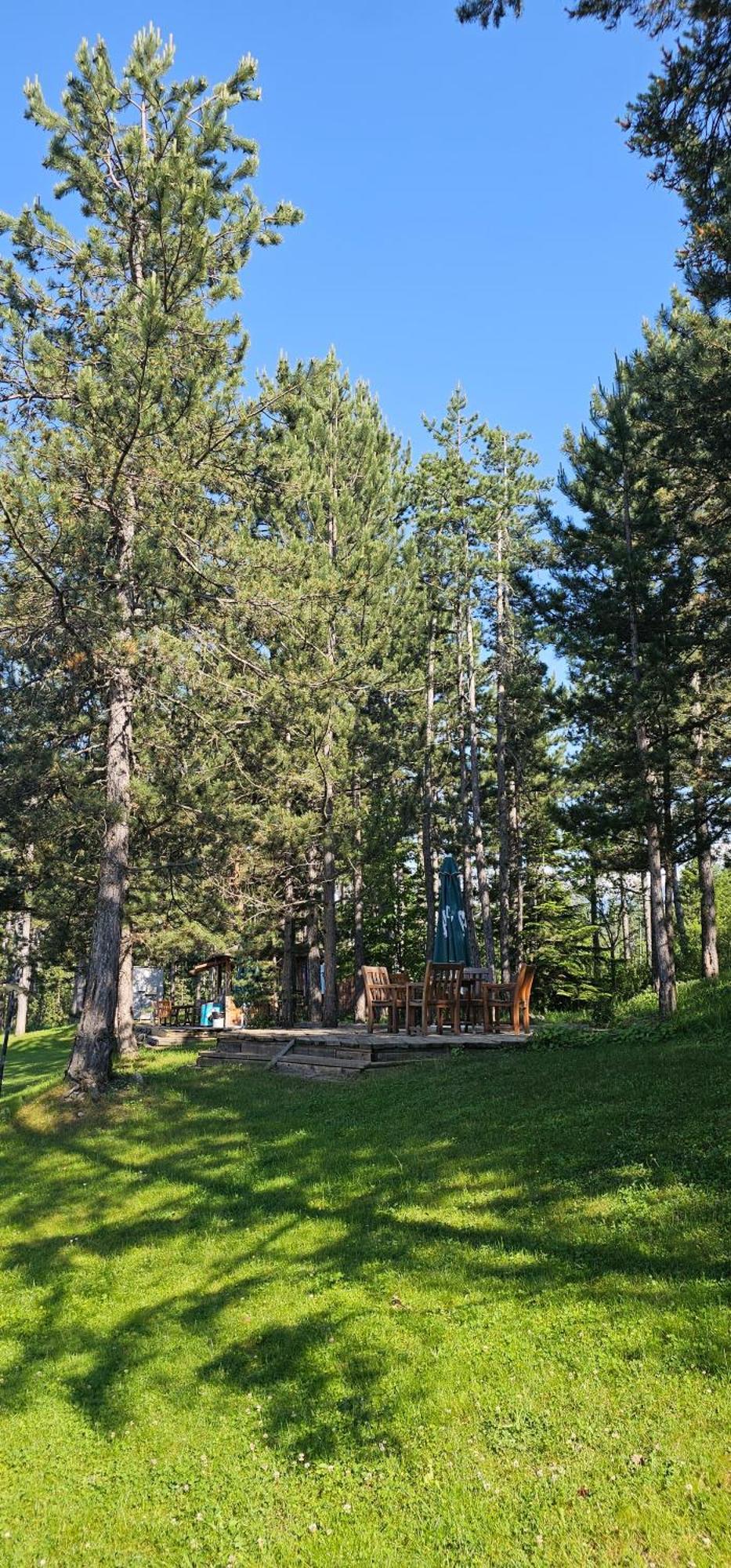 Green Peaks Suite In Pirin Golf & County Club Razlog Room photo